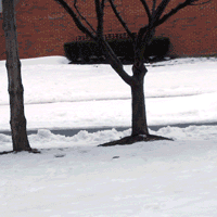 [OverloadBeam-ani.gif thumbnail]