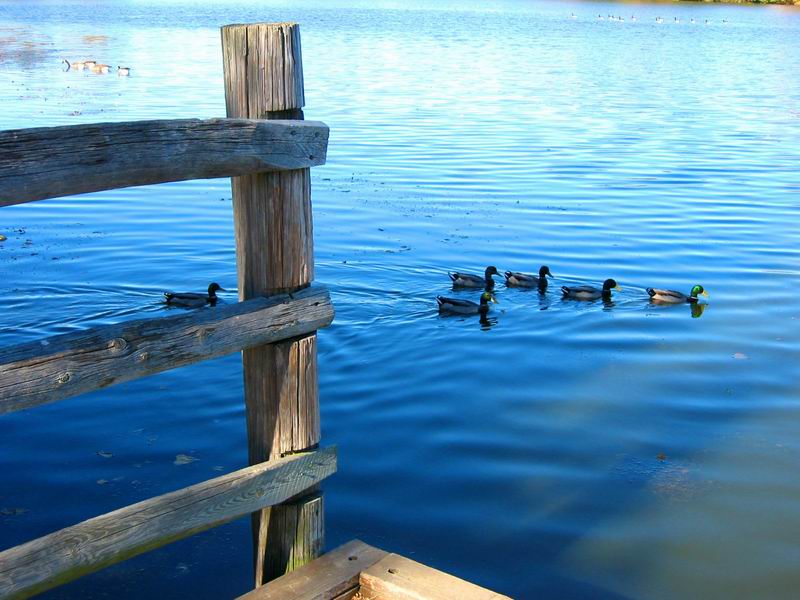 [Park20031012-11.jpg thumbnail]