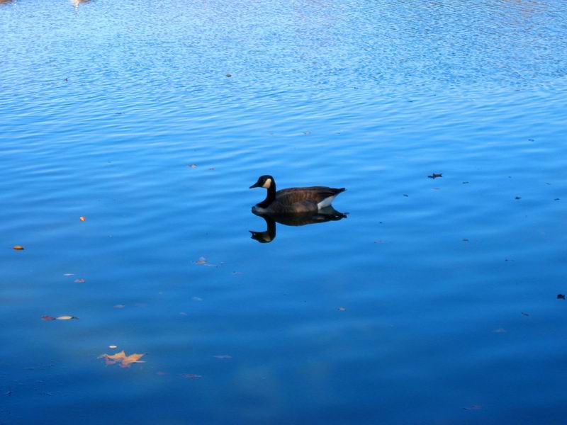 [Park20031012-14.jpg thumbnail]