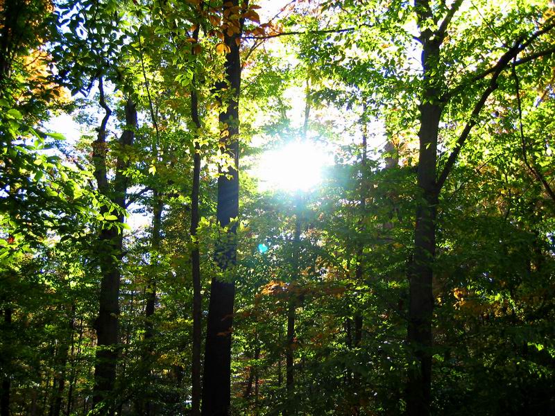 [Park20031012-18.jpg thumbnail]