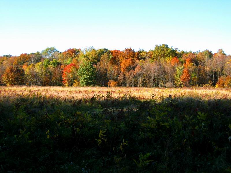 [Park20031012-22.jpg thumbnail]