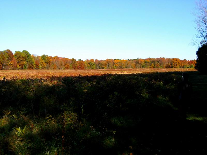 [Park20031012-23.jpg thumbnail]