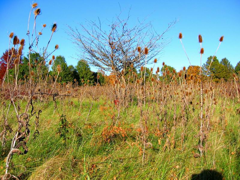 [Park20031012-27.jpg thumbnail]