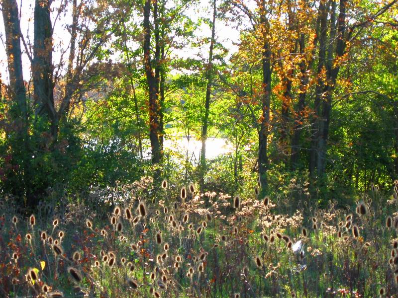 [Park20031012-28.jpg thumbnail]