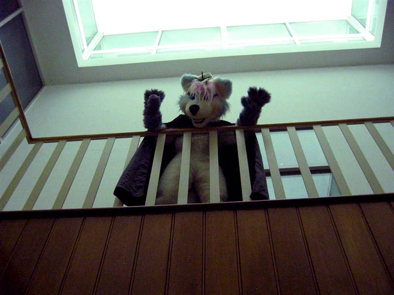 [RCFM2005_177.jpg thumbnail]