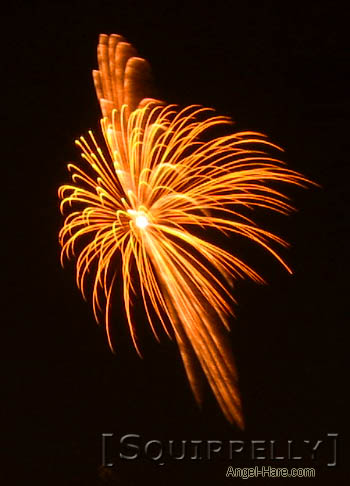 [RWBoom2004_28.jpg thumbnail]